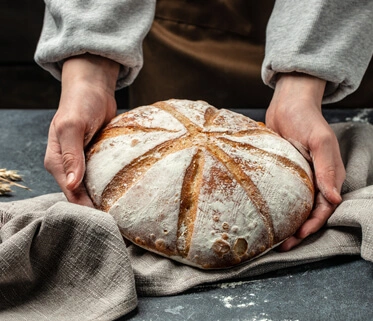 Female hands holding homemade sourdough bread